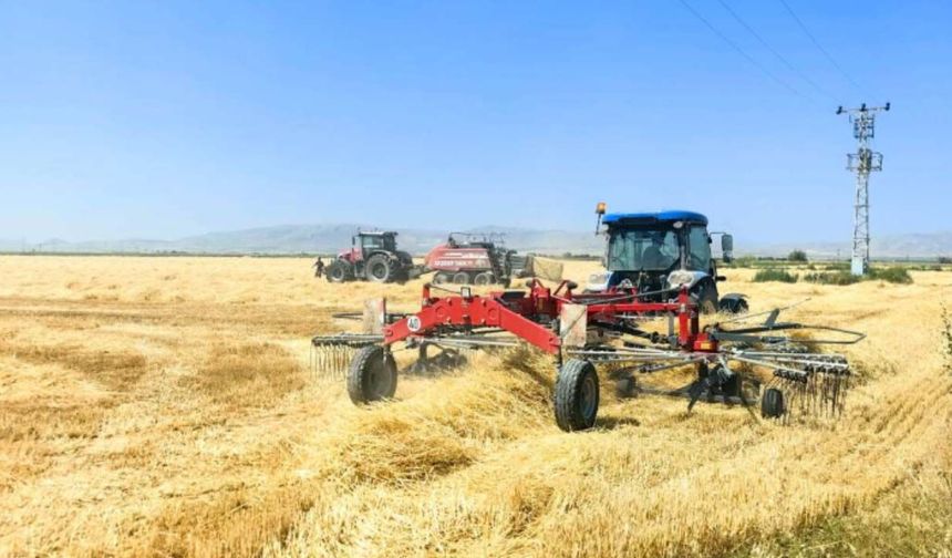 USK'nın hesabında saman sürprizi: Fiyat bir ayda yüzde 32 geriledi