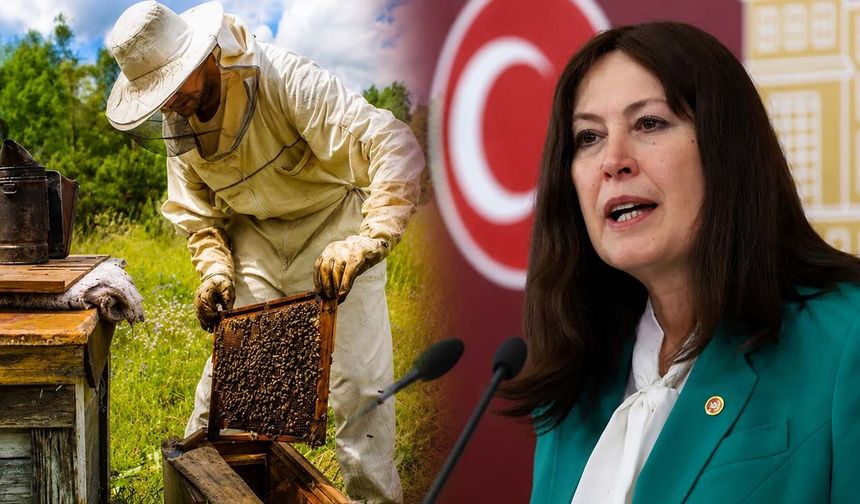 Devletin verdiği destek geri mi alınıyor? Arıcılardan 100 TL isyanı Meclis'te