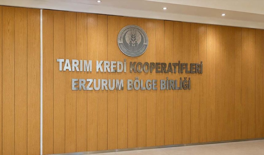 Tarım Kredi'nin Erzurum Bölge Birliği binası satıldı! İhaleyi kazanan firma çekildi, bina Buhara Hastanesi'ne kaldı