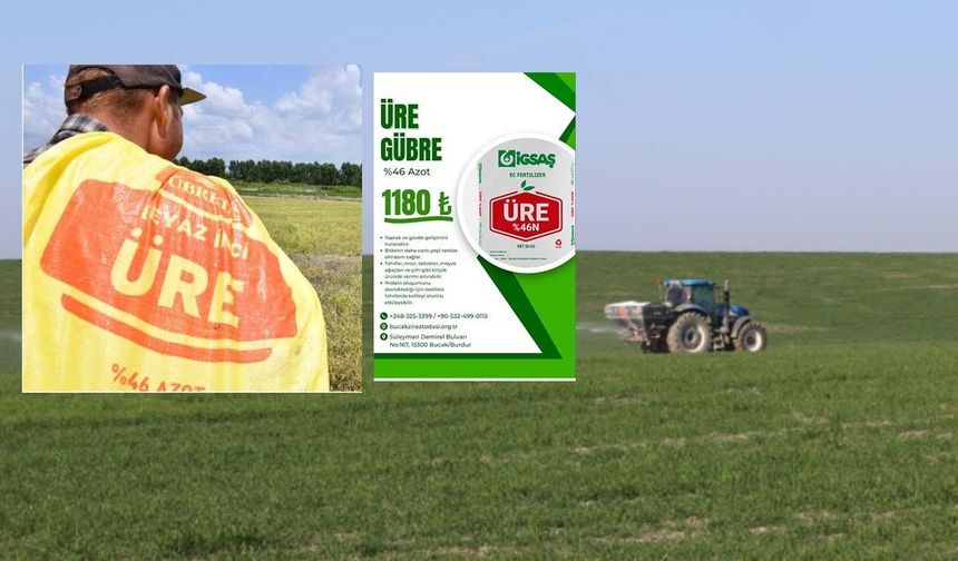 Tarım Kredi'nin yapamadığını Bucak Ziraat Odası yaptı! Üre gübresinde 315 TL fark