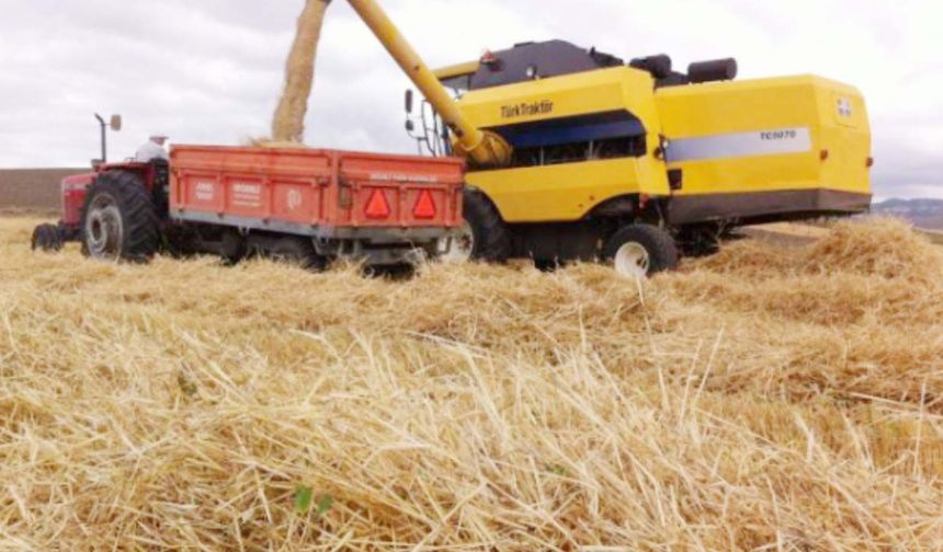 TMO önündeki kuyruklar tüccarı kazandırdı! Buğday, arpa fiyatı neden düştü?