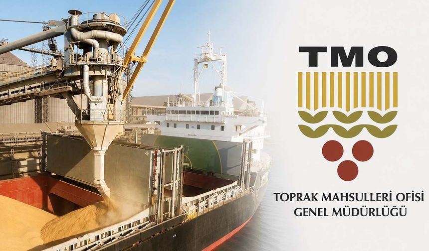 TMO'dan önemli karar! Ekmeklik buğday ihracatı yeniden serbest bırakıldı