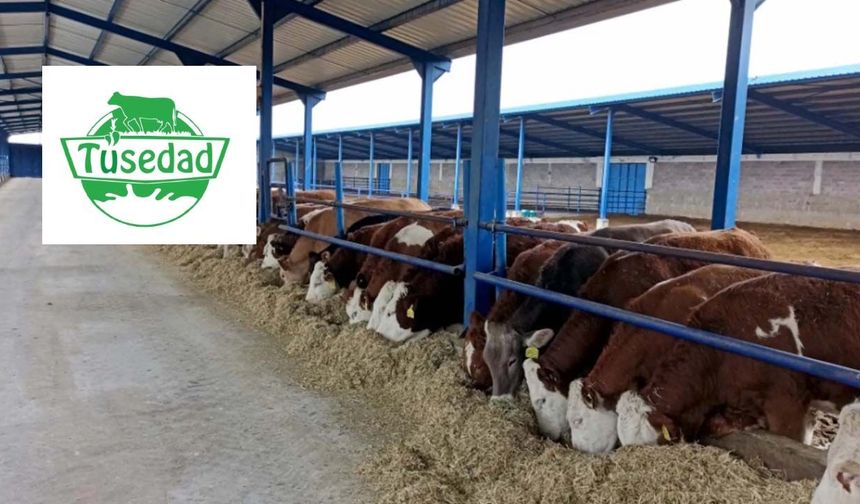 TÜSEDAD açıkladı: Haziran ayında çiğ süt üretim maliyeti 26,97 liraya geriledi