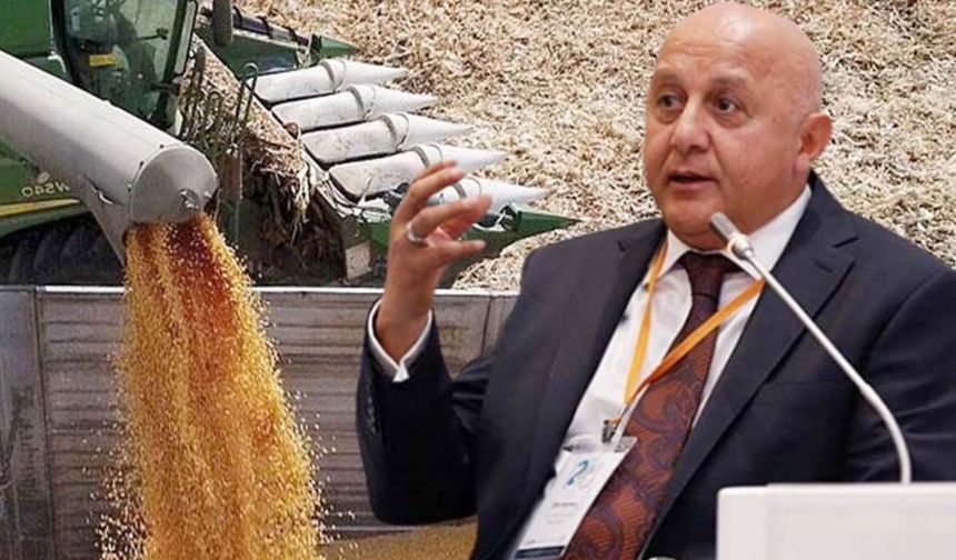 Karadeniz'deki savaş yem sektörünü vurdu: "İkinci Tahıl Koridoru" çağrısı