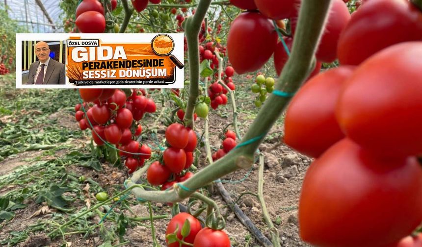 USDA raporu sonrası kritik soru: Bugün marketler, yarın tarlalar mı?