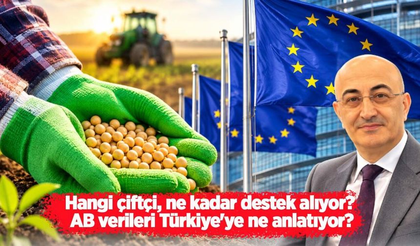 Hangi çiftçi, ne kadar destek alıyor? AB verileri Türkiye'ye ne anlatıyor?