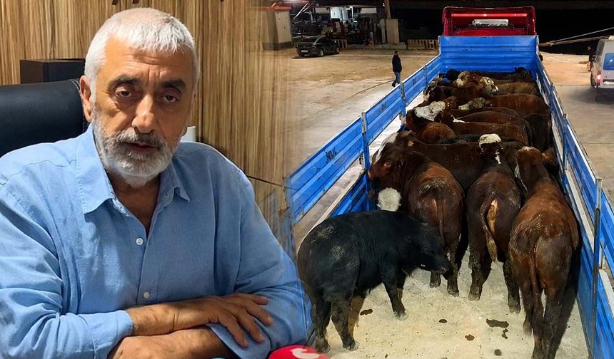 Besiciden ESK'ye dikkat çeken çağrı: İthal hayvanın kilosu 350 TL'ye çekilsin