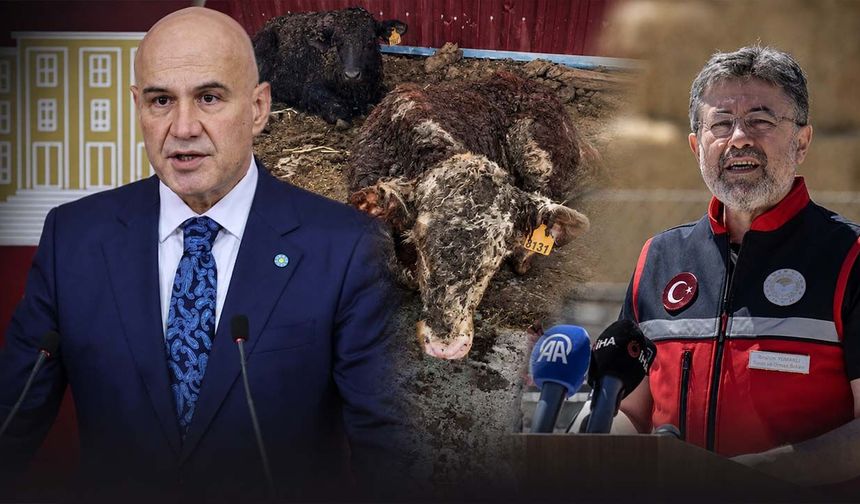 Besiye değil tedaviye başlamışlardı! İthal hayvanlardaki şoke eden görüntüler Meclis’e taşındı