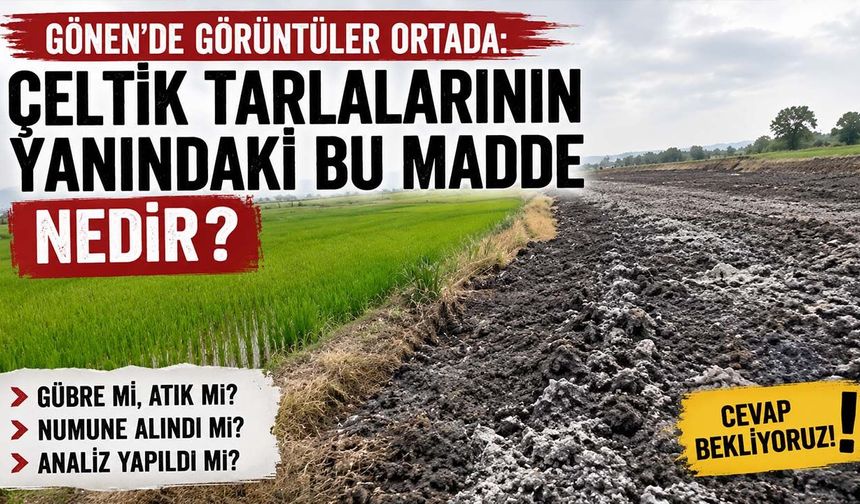 Gönen’de görüntüler ortada: Çeltik tarlalarının yanındaki bu madde nedir?