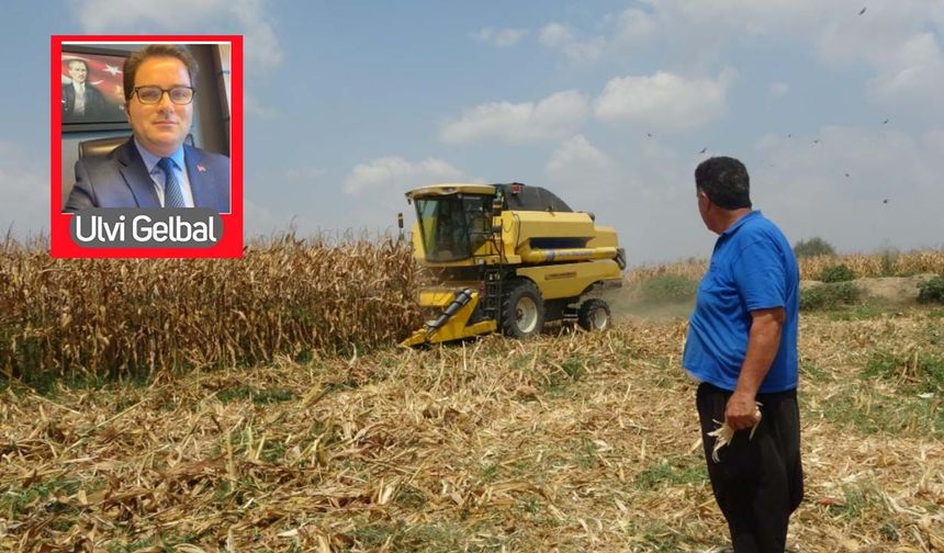 Mısırın fiyatı değil, çiftçinin geleceği açıklanacak