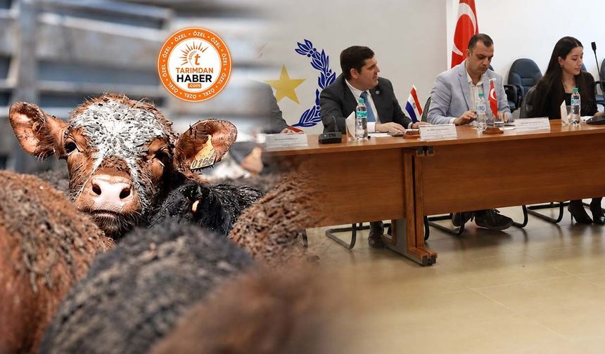 Paraguay'dan canlı hayvan ve sığır eti ithalatında kritik aşama: Türk heyeti Paraguay'da tesisleri denetliyor