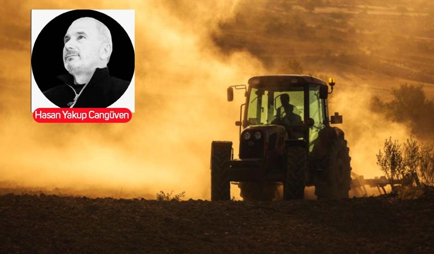 Tarım Kredi'nin milyarları nereye gidiyor? Çiftçinin sermayesi zarar eden iştirakleri mi finanse ediyor?