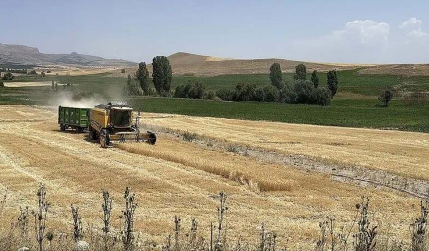 Türkiye tarımında çarpıcı tablo: Ekili alan yüzde 9 azaldı, üretim değeri dünya ortalamasının 2,3 katında!
