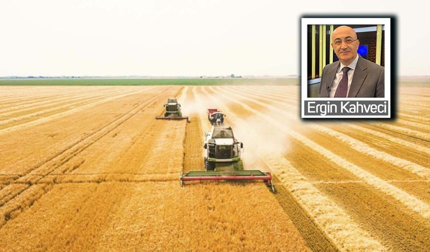 ABD buğday görünümü ekseninde Türkiye'nin görünümü!
