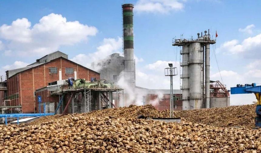 Adapazarı Şeker Fabrikası 50 milyon dolara el değiştirdi! Bor Şeker’in kotası ikiye katlandı