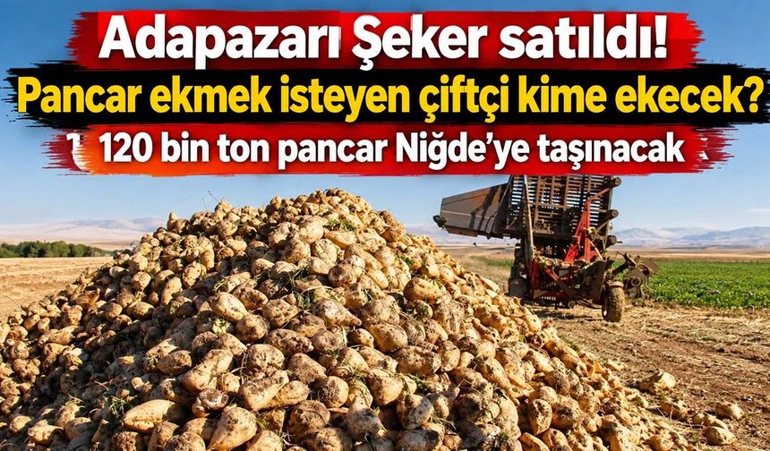 Adapazarı Şeker satıldı, pancar çiftçisinin geleceği belirsiz! 120 bin ton pancar Niğde’ye taşınacak