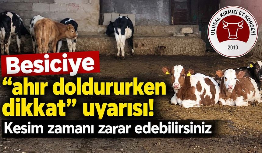 Besiciye “ahır doldururken dikkat” uyarısı! Kesim zamanı zarar edebilirsiniz