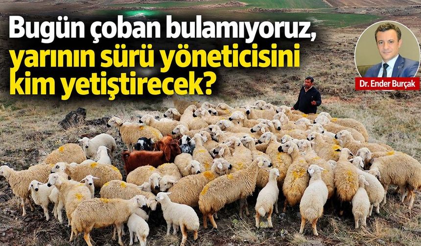 Bugün çoban bulamıyoruz, yarının sürü yöneticisini kim yetiştirecek?