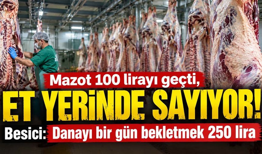 Mazot 100 lirayı geçti, et yerinde sayıyor! Besici: Danayı bir gün bekletmek 250 lira