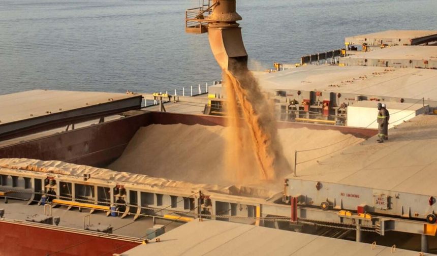 GDO’lu 3 mısır ve 1 soya çeşidinin yem amaçlı ithalat izni 10 yıl uzatıldı