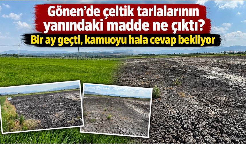 Gönen’de çeltik tarlalarının yanındaki madde ne çıktı? Bir ay geçti, kamuoyu hala cevap bekliyor