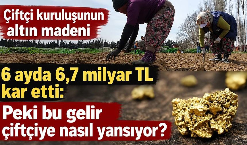 Çiftçi kuruluşunun altın madeni 6 ayda 6,7 milyar TL kar etti: Peki bu gelir çiftçiye nasıl yansıyor?
