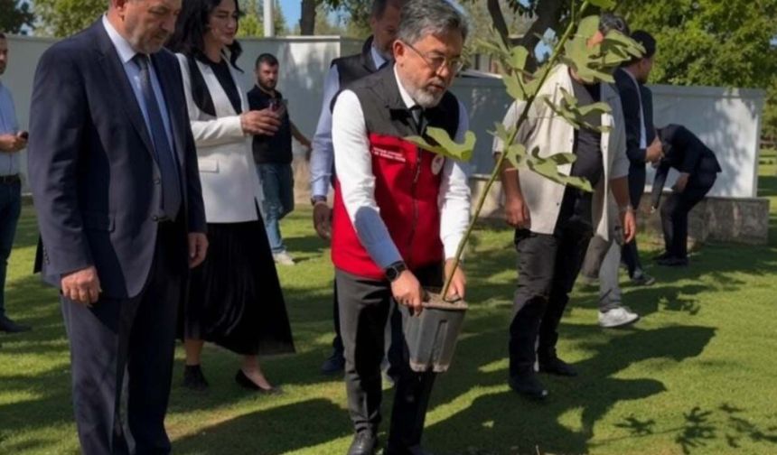 Bakan fidanın saksısını çıkardı! Çiftçinin saksısını kim çıkaracak?