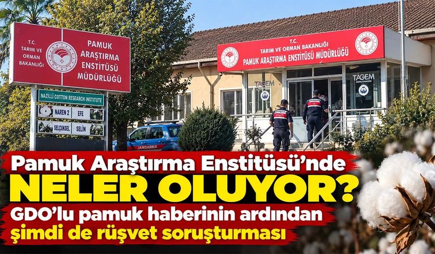 Pamuk Araştırma Enstitüsü'nde neler oluyor? GDO'lu pamuk haberinin ardından şimdi de rüşvet soruşturması