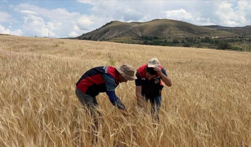 Sivas havza destekleri 2027: İlçelere göre desteklenen ürünler belli oldu