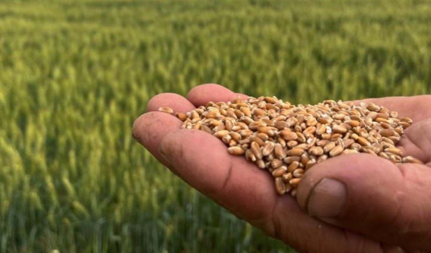 Tarım desteklerindeki artışa dikkat çeken itiraz: Asıl mesele destek değil, fiyat ve piyasa!
