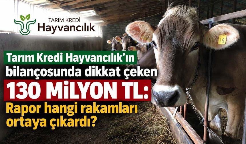 Tarım Kredi Hayvancılık'ın bilançosunda dikkat çeken 130 milyon TL: Rapor hangi rakamları ortaya çıkardı?