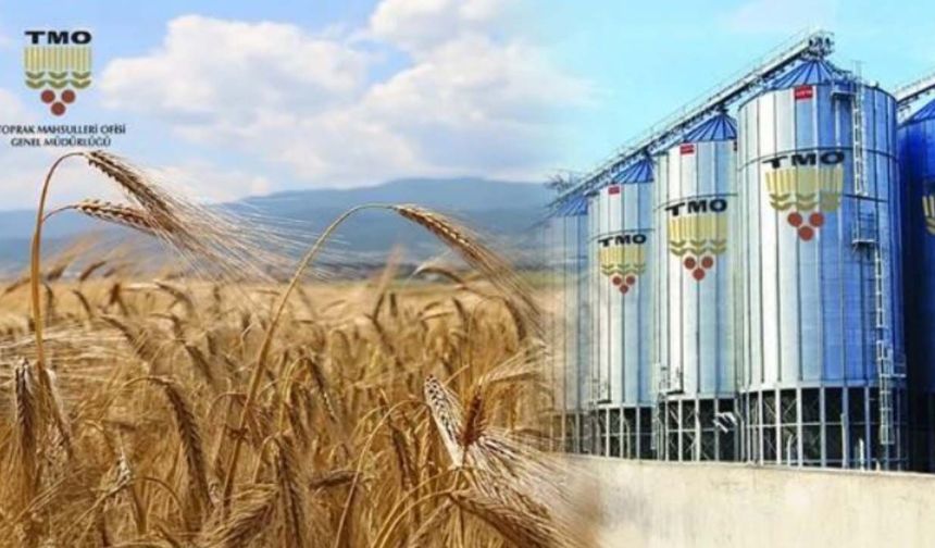 TMO buğday satışlarına başladı! Ekmeklik ve makarnalık buğdayın satış fiyatı belli oldu