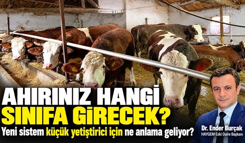 Ahırınız hangi sınıfa girecek? Yeni sistem küçük yetiştirici için ne anlama geliyor?