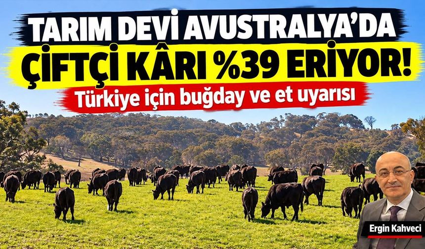 Tarım devi Avustralya’da çiftçi karı yüzde 39 eriyor! Türkiye için buğday ve et uyarısı