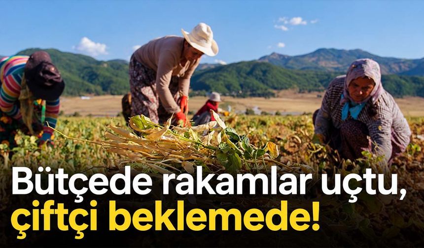 Bütçede rakamlar uçtu, çiftçi beklemede!