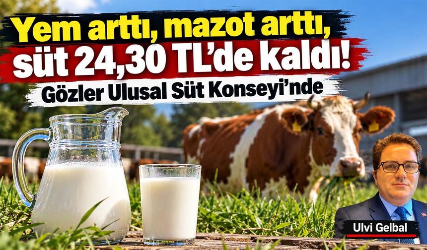 Yem arttı, mazot arttı, süt 24,30 TL’de kaldı! Gözler Ulusal Süt Konseyi’nde