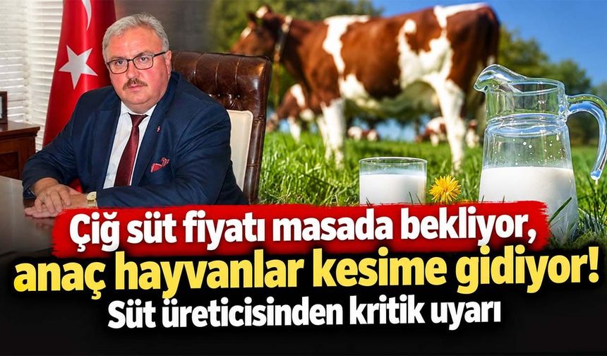 Süt üreticisinden kritik uyarı: Fiyat artışı gecikirse anaç hayvanlar kesime gidecek!