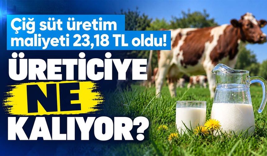 Süt üreticisine bir ayda 1,70 TL maliyet şoku! Ulusal Süt Konseyi yeni rakamı açıkladı