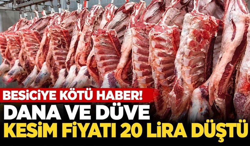 Et kesim fiyatları 2026 | Güncel karkas et, dana ve kuzu kesim fiyatları