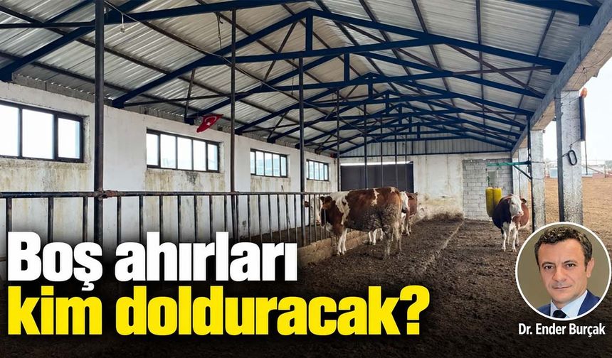 Boş ahırları kim dolduracak?