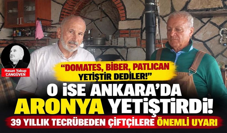 Ankara'nın bozkırında 39 yıllık tarım deneyi! Çiftçilere '10 bin fidan dikmeden önce bunu yapın' uyarısı
