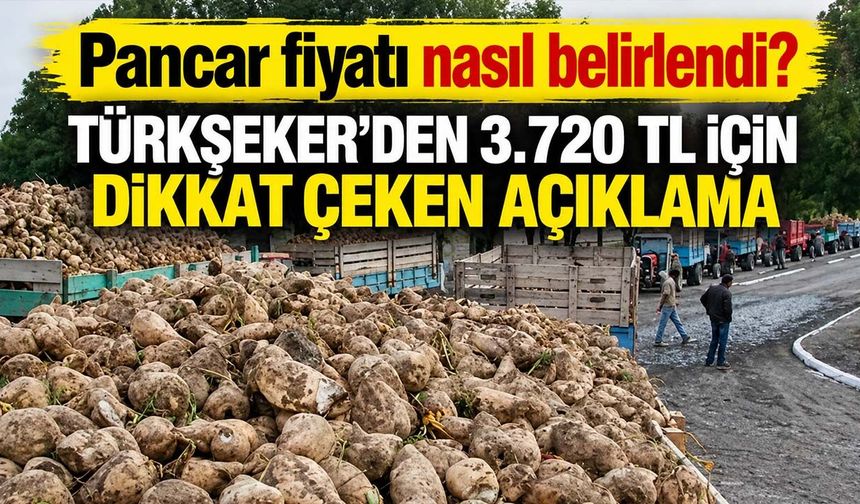 Pancar fiyatı nasıl belirlendi? TÜRKŞEKER'den 3.720 TL için dikkat çeken açıklama
