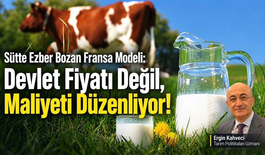 Fransa süt fiyatını belirlemiyor peki o halde ne yapıyor?
