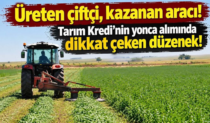 Tarım Kredi'nin yonca alımında dikkat çeken düzenek! Çiftçiden alan firma, çiftçinin şirketine satıyor