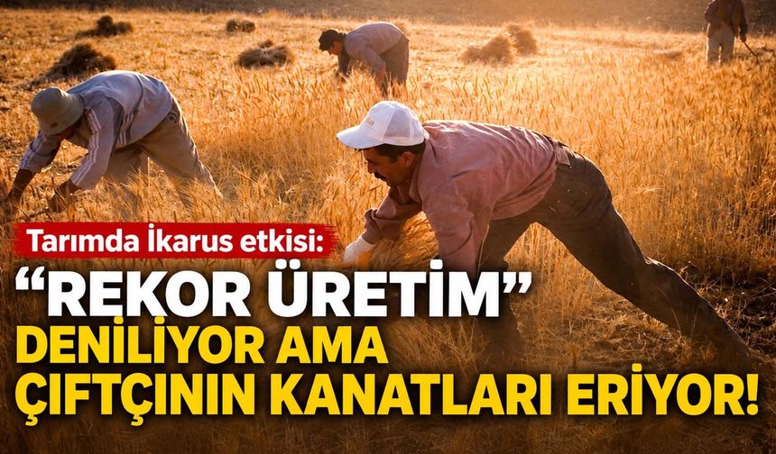 Tarımda İkarus etkisi: “Rekor üretim” deniliyor ama çiftçinin kanatları eriyor!
