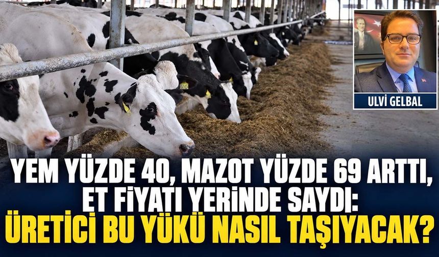 Yem yüzde 40, mazot yüzde 69 arttı, et fiyatı yerinde saydı: Üretici bu yükü nasıl taşıyacak?