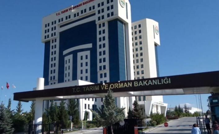 Tarım Bakanlığından kayıp atlarla ilgili açıklama: Çiple takip etmemiz mümkün değil