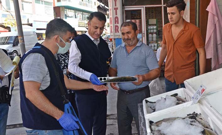 Balık satış yerlerinde denetimler yapıldı