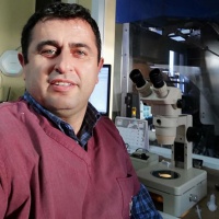 Prof. Dr. Hakan Sağırkaya