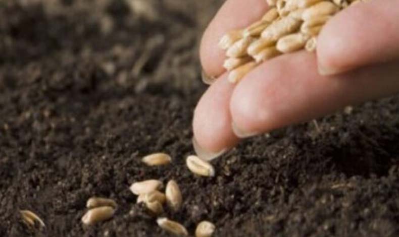 TİGEM’in sosyal medya hesaplarından yapılan açıklamada, “2023 yılı tohum fiyatlarımız açıklandı. Çiftçimize ve tüm üreticilerimize hayırlı olmasını dileriz” denildi.  
